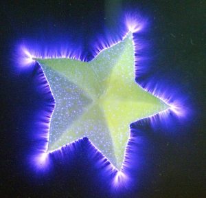 Force vitale étoilée